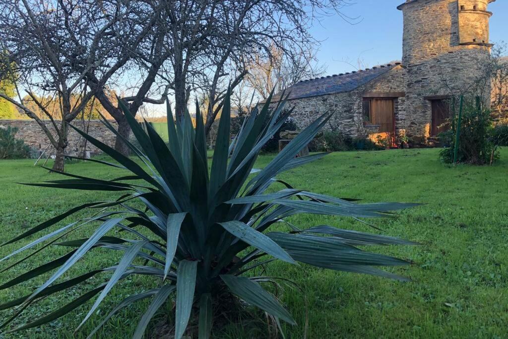 Apartamento Turistico Con Precioso Jardin - Los Gayoles Rural Castropol Exterior foto